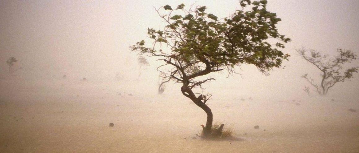 Vent de sable au Sahel © P. Dugué, Cirad
